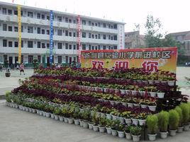 監利縣實驗國小 監利縣實驗國小