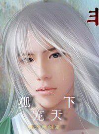 幻情:狐寵天下 幻情:狐寵天下