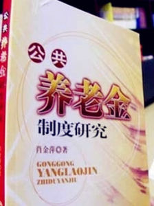 過渡性養老金 過渡性養老金