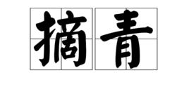 摘青 摘青