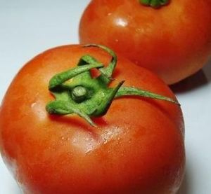 西紅柿減肥法 西紅柿減肥法