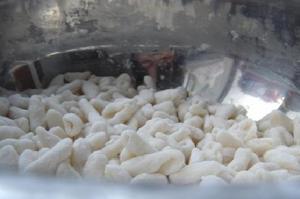 （圖）山西貓耳朵