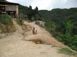 牛場村[雲南玉溪市紅塔區春和鎮下轄村]