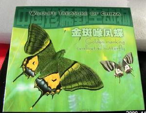 金斑啄鳳蝶