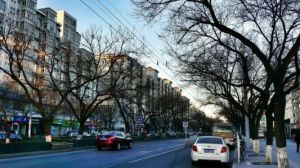 北新橋街道 北新橋街道