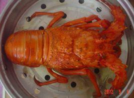 清蒸龍蝦 清蒸龍蝦