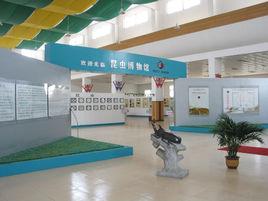 青島農業大學昆蟲博物館 青島農業大學昆蟲博物館
