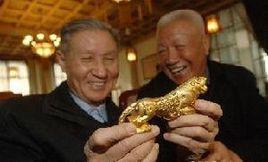 金玉虎符 金玉虎符