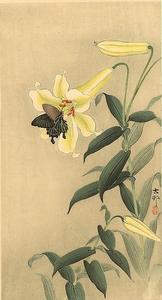 小原古邨 小原古邨