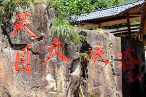 天目大峽谷 天目大峽谷