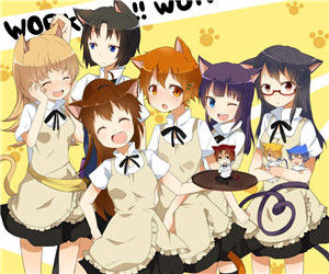 《迷糊餐館》 《迷糊餐館》