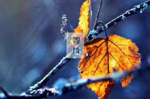 霜降[二十四節氣之一]