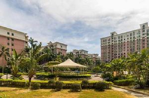 碧湖玫瑰園 碧湖玫瑰園