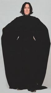 阿蘭&middot;瑞克曼