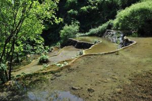 象牙溝自然村 象牙溝自然村