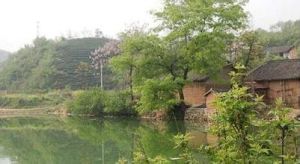 四望山紅色旅遊景區 四望山紅色旅遊景區