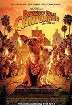 比弗利拜金狗 比弗利拜金狗