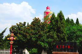 天下第一瓶 天下第一瓶