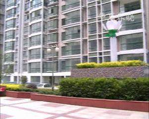 華夏春曉 華夏春曉