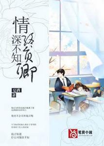 情深不知終負卿 情深不知終負卿