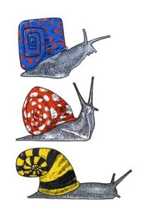 非蝸居蝸牛 非蝸居蝸牛