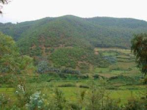 李資河村 李資河村