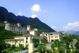 廣州金葉子度假酒店 廣州金葉子度假酒店