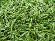 茶[中國傳統飲品]