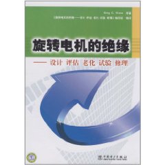 旋轉電機的絕緣