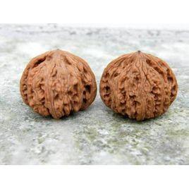 矮樁獅子頭 矮樁獅子頭