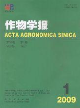 作物學報