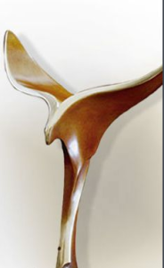 美國編劇工會獎