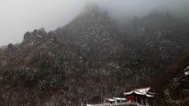 龍山銀尖 龍山銀尖