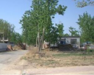 朱楊莊村 朱楊莊村