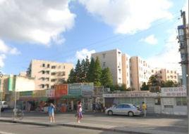 羅山新村街道 羅山新村街道