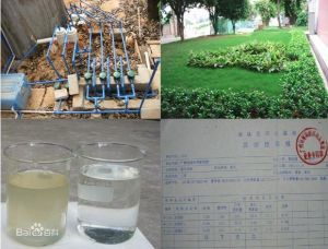 高負荷地下滲濾污水處理複合技術 高負荷地下滲濾污水處理複合技術