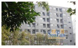 一江城花 一江城花