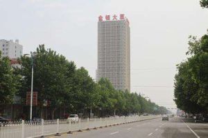 金頓大廈 金頓大廈