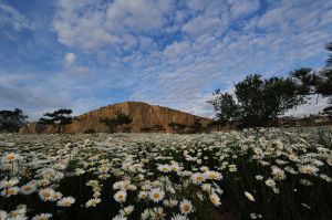 馬山國家級森林公園