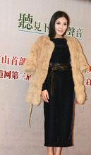 章金玲新聞發布會現場