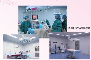 德國STORZ官腔鏡