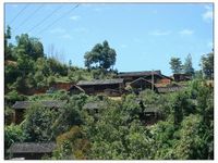 花家寨自然村 花家寨自然村