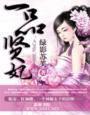 一品賢妃 一品賢妃