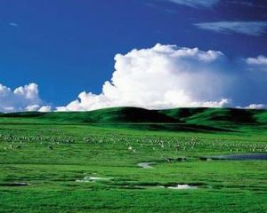 希拉穆仁草原 希拉穆仁草原
