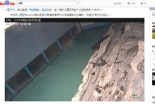 企鵝[動物名稱]