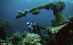 楚克島戰役 楚克島戰役