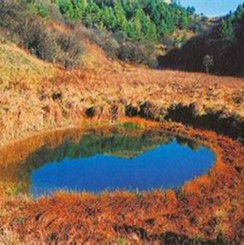 神河源風景區 神河源風景區