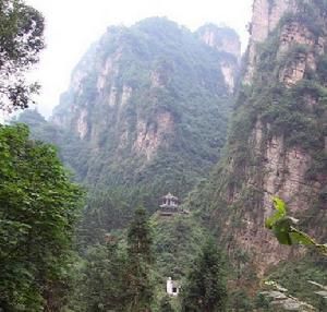 天子山自然保護區——峰石如塔