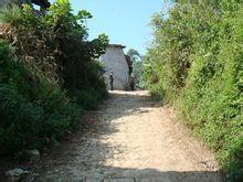 中良子村[雲南省富源縣營上鎮迤茂村委會中良子村]