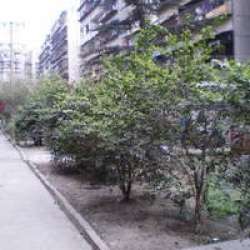 金牛商業局宿舍 金牛商業局宿舍